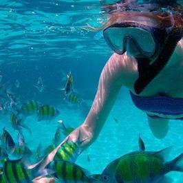 a person swimming in a pool of water